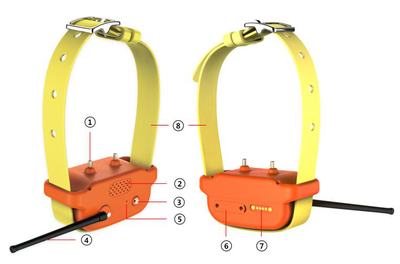 宠物科技新篇章 从树懒GPS定位器到APP控制止吠器的智能宠物管理